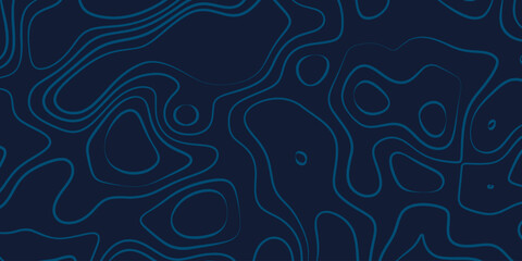 Luxury blue abstract topographic map background with white lines texture, wallpaper design for fabric , packaging , web, geographic grid map vector illustration.