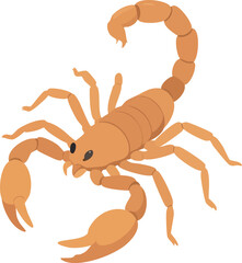 scorpion isolated on white