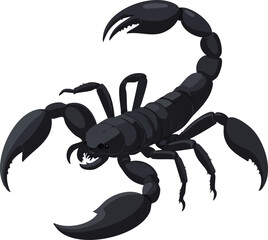 scorpion isolated on white