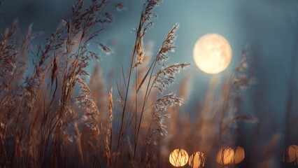 Serene Landscape With Full Moon Illuminating Grasses And Soothing Evening Atmosphere In Nature Photography