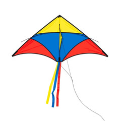 beach kite vector isolated on white background