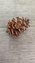 Close-up of a dry pine cone on rustic wooden surface, natural autumn background with earthy tones perfect for nature, forest, and seasonal design concepts.