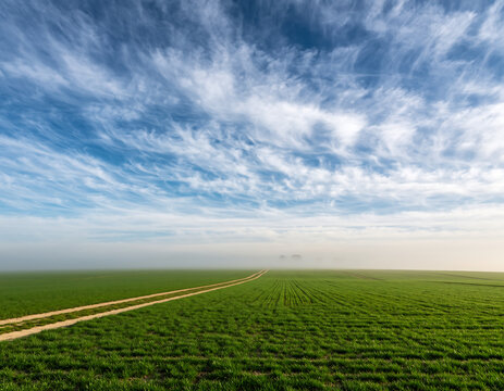 Vibrant green field under blue sky with wispy clouds and dirt road - Powered by Adobe