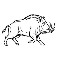 Detailed Black and White Illustration of a Wild Boar.