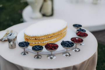 Layered berry cake with fresh fruits for dessert