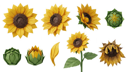 Origami Sunflower Flower Collection on White