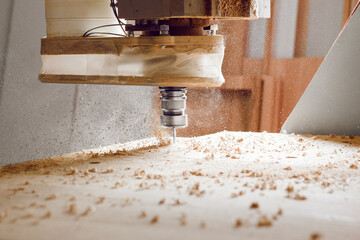 Machine with computer numerical control for cutting wood with various router bits.