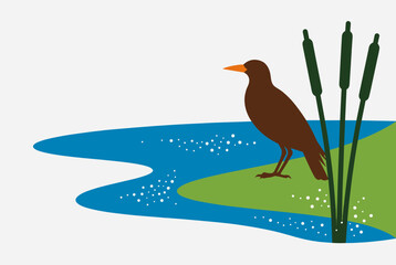 A brown bird with an orange beak stands by a blue pond with cattails on a green bank, in a simple illustration.