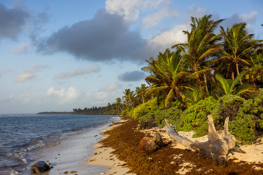 Beach near the barrier reef, Ambergris Caye, Belize