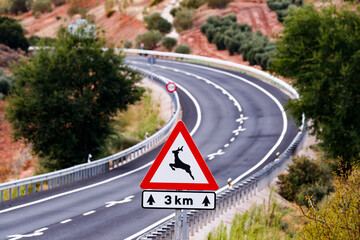 Deer Crossing Warning Sign on a Winding Spanish Road