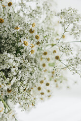 Bouquet of chamomile and baby's breath flowers on soft surface