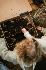 Children preparing seeds for planting in small compost pots.
