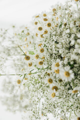 Bouquet of chamomile and baby's breath flowers on soft surface