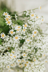 Bouquet of chamomile and baby's breath flowers on soft surface