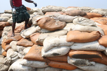 Fototapeta premium raw salt stock with bag on farm