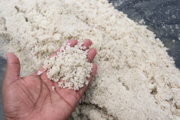 Fototapeta premium raw salt farm on plot with polythene bed