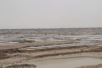 Fototapeta premium raw salt farm plot with water and polythene bed