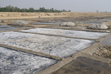 Fototapeta premium raw salt farm plot with water and polythene bed