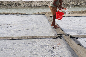 Fototapeta premium raw salt farm on plot with polythene bed
