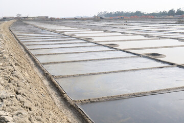 Fototapeta premium raw salt farm plot with water and polythene bed
