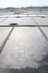 Fototapeta premium raw salt farm plot with water and polythene bed