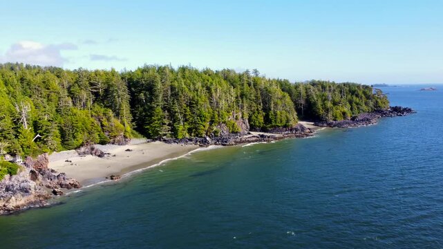 Aerial drone capturing verdant coniferous forest merging with rocky pacific ocean coastline near tofino, revealing vancouver island's pristine wilderness landscape