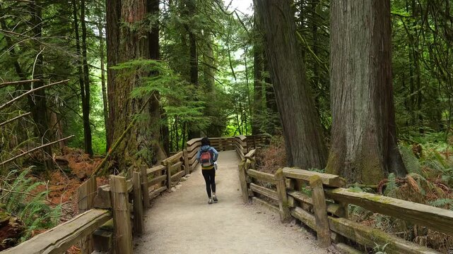 Mother and child are enjoying a leisurely walk along a scenic path at cathedral grove nature park on vancouver island, surrounded by lush greenery and towering trees