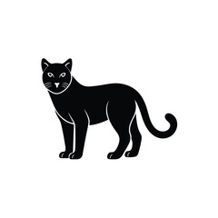 Black cat kitten looking with cute eyes on a white isolated background