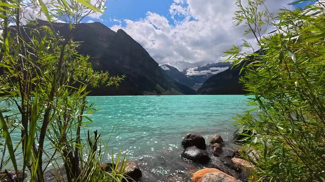 Lush vegetation frames the iconic turquoise waters of lake louise, nestled amidst the majestic canadian rockies, with clouds dancing above and snow capped peaks in the distance