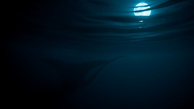 plesiosaur. A plesiosaur silhouette emerging from deep ocean shadows under moonlight. wildlife magazines, conservation campaigns, designed for wildlife conservation campaigns.