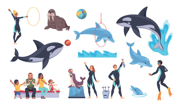 Dolphinarium elements. Funny marine animals and people, visitors and trainers, killer whales, walrus, seal for performances, mammal jump, play with hoop and ball cartoon flat tidy vector set