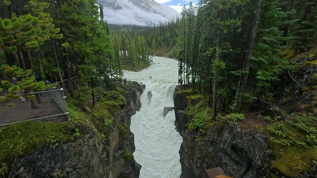 Tourists observing sunwapta falls plunging into a narrow canyon carved through the rock, surrounded by lush evergreen forest, under a cloudy sky in jasper national park