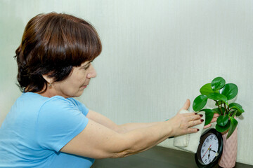 mature woman wipes dust from leaves of houseplant, symbolizing caring for houseplants, attentive housekeeping and cozy home atmosphere.