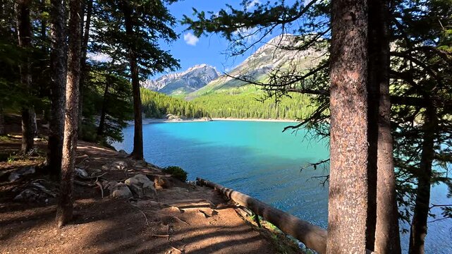 Sunlight filters through the trees onto the shore of the turquoise lake minnewanka, nestled amidst the rugged mountains of banff national park in the canadian rockies