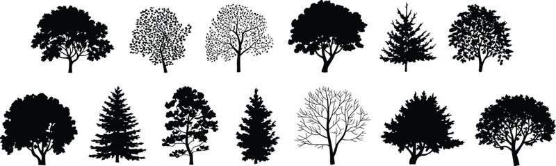 Fototapeta premium Tree silhouettes collection, various deciduous and evergreen trees, forest nature elements, botanical shapes, black detailed flat vector illustration set