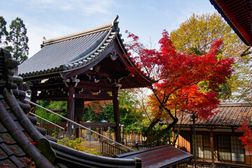 Autumn at Eikando and Nanzenji - Maple Leaf Festival