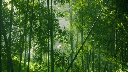 Obraz premium Green bamboo stalks stretch towards the sky, their leaves shimmering in the early morning light. A serene mist hovers above the ground, creating an enchanted atmosphere for exploration.