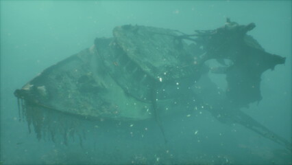 A submerged shipwreck rests on the ocean floor, surrounded by fish and marine life. Time has transformed the vessel into a haunting relic of history, cloaked in seaweed and mystery.