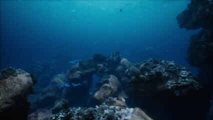 Naklejka premium Underwater scene showcases a beautiful coral reef teeming with colorful fish and intricate rock formations. Sunlight filters through crystal clear water, enhancing the marine wonder.