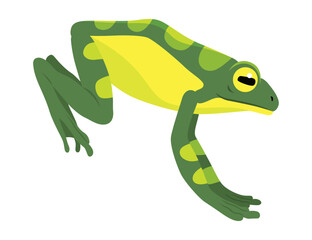 Frog jumping animation icon. Sequences or footage for motion design. Cartoon toad jumping, animal movement concept. Frog leap sequence, vector illustration