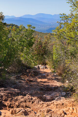 Steep rocky path leading to Mount Križevac in Medjugorje, the difficult pilgrimage road to the Krizevac Cross, symbolizing faith, endurance, prayer, and spiritual journey.