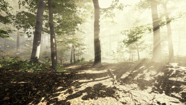 Golden rays of sunlight pierce through a lush forest, creating a magical atmosphere. Shadows dance on the forest floor, enhancing the serene beauty of nature at dawn.