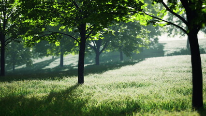 In a calm morning scene, sunlight dances through lush green leaves, casting shadows on a grassy field. The tranquil atmosphere invites peaceful reflection amidst nature’s beauty.