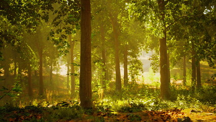 Naklejka premium Golden rays of sunlight pierce through vibrant green leaves, illuminating a peaceful forest path. Birds chirp softly as a gentle breeze stirs the foliage nearby.
