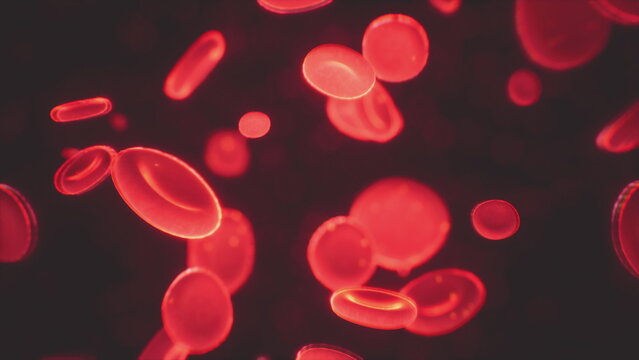 Red blood cells glide through a dark space, glowing softly. Their round shapes and translucent qualities create an interesting visual, showcasing the wonder of human biology.