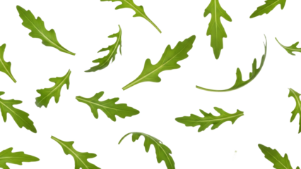 Delicate arugula leaves scattered on a clean backdrop, showcasing freshness and natural vibrancy, perfect for food related designs