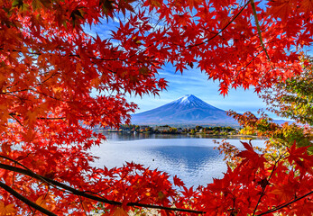 河口湖から富士山と紅葉