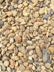 pebble stones on the beach, close up of stone background