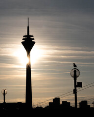 Against the Light - Rhine-Tower Duesseldorf before the Sun as a Silhouette High quality photo
