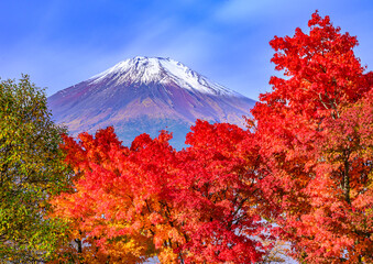 山中湖から紅葉と富士山